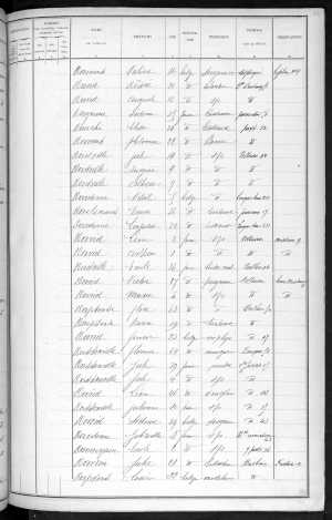 RBX_AMR_POP_1886_03_0001.jpg