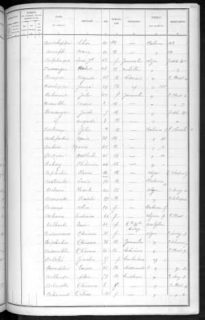 RBX_AMR_POP_1886_03_0001.jpg