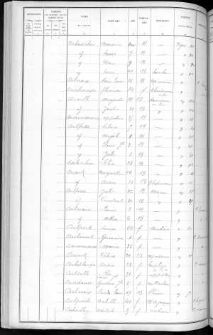 RBX_AMR_POP_1886_03_0001.jpg